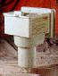 skimmer.gif (12733 bytes)